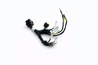 Wire Harness Assembly for RFN Warrior SX-E8