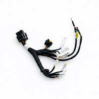 Wire Harness Assembly for RFN Warrior SX-E8