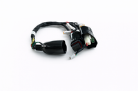 Wire Harness Assembly for RFN Warrior Pro SX-E15 & SX-l5 Plus