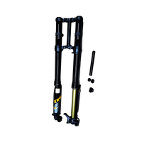 Freego Front Suspension Fork, inverted fork with axle and hardware