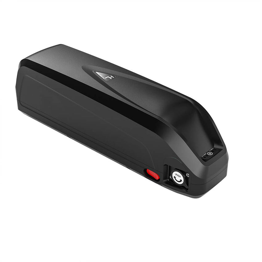 48V16AH 0-1000W Electric Bicycle Lithium Battery
