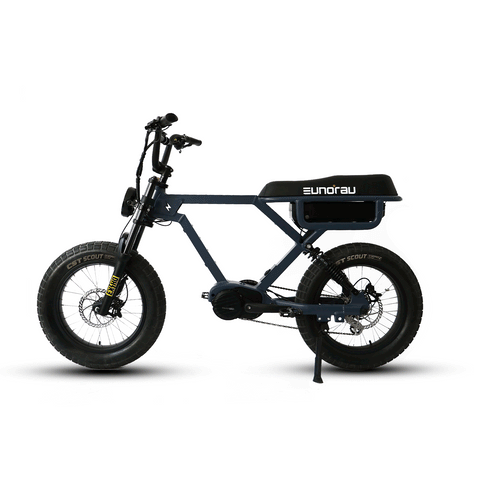 Eunorau FLASH with foot plate pedals