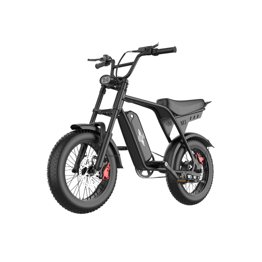 Freego Maxx M3 electric bike in black, front left three-quarter product view