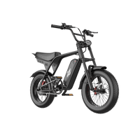 Freego Maxx M3 e-bike, front three-quarter view with handlebars