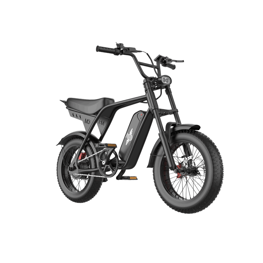 Freego Maxx M3 e-bike, front three-quarter view with handlebars