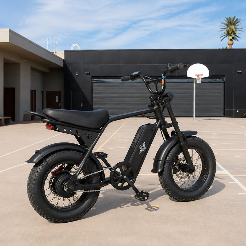 Freego Maxx M3 fat tire e-bike on a rooftop lot with basketball hoop