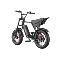 Freego Maxx M3 e-bike, rear three-quarter view showing rear fender