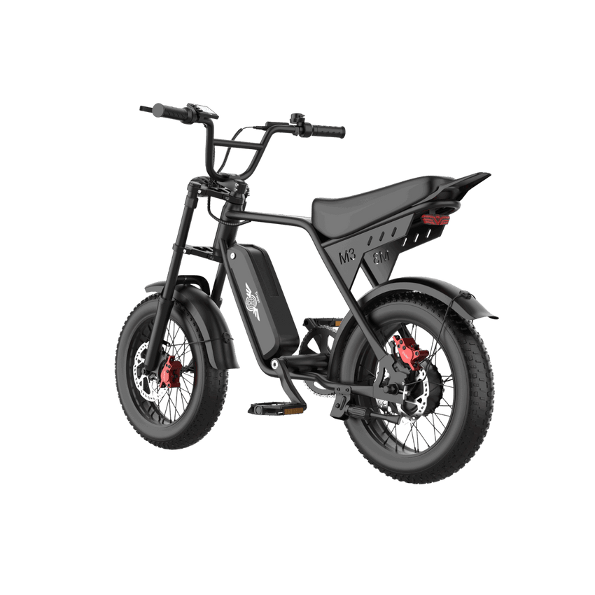 Freego Maxx M3 e-bike, rear three-quarter view showing rear fender