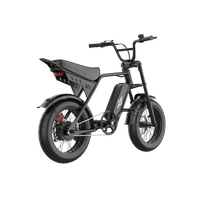 Freego Maxx M3 electric bike, rear left three-quarter view