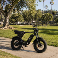 Freego Maxx M3 electric bike parked on a park path beside green grass