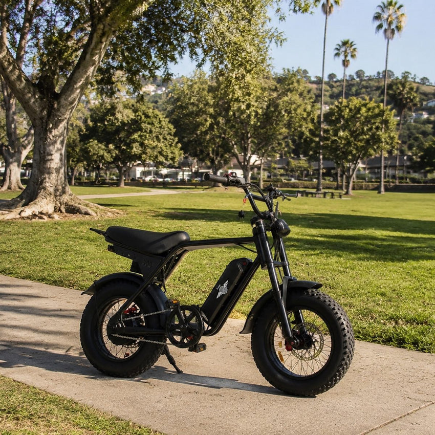 Freego Maxx M3 electric bike parked on a park path beside green grass