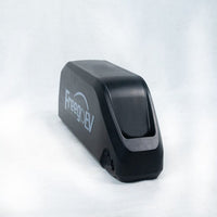 Freego Lithium Battery for F Series, FreegoEV pack standing on end