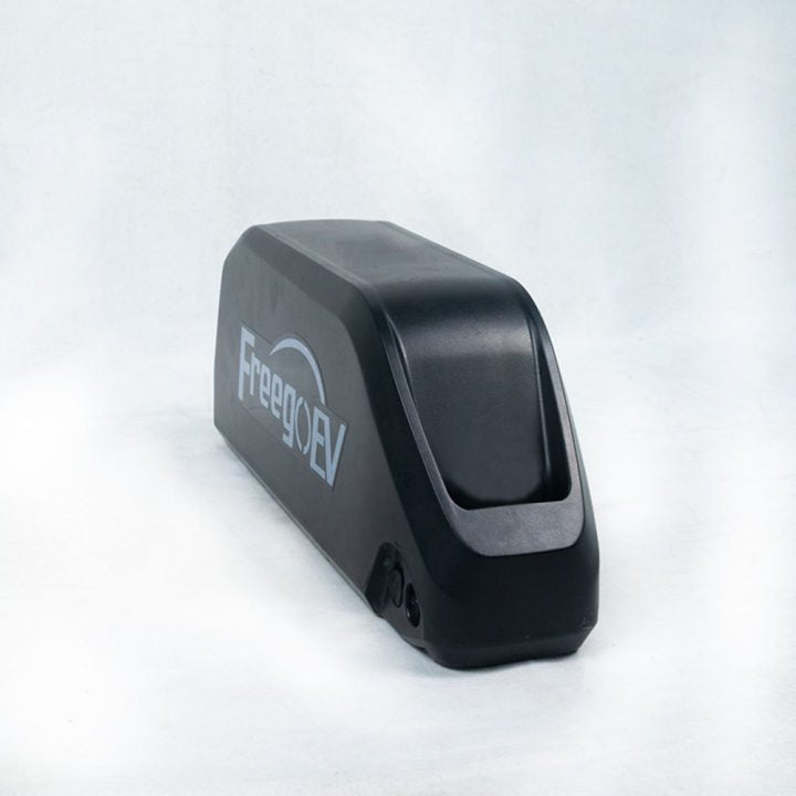 Freego Lithium Battery for F Series, FreegoEV pack standing on end