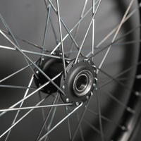Rerode R1/R1 Plus 19" Front Wheel, close-up of hub and silver spokes