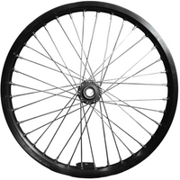 Rerode R1/R1 Plus 19" Front Wheel, black spoked wheel rim with hub, full side view