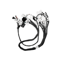 Rerode R1 Plus Main Harness, black wiring harness with many connectors laid out