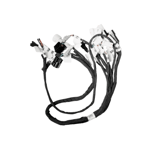 Rerode Main Harness (R1+ OEM)
