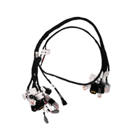 Rerode R1 8kw Main Harness, black wiring harness with multiple connectors laid out