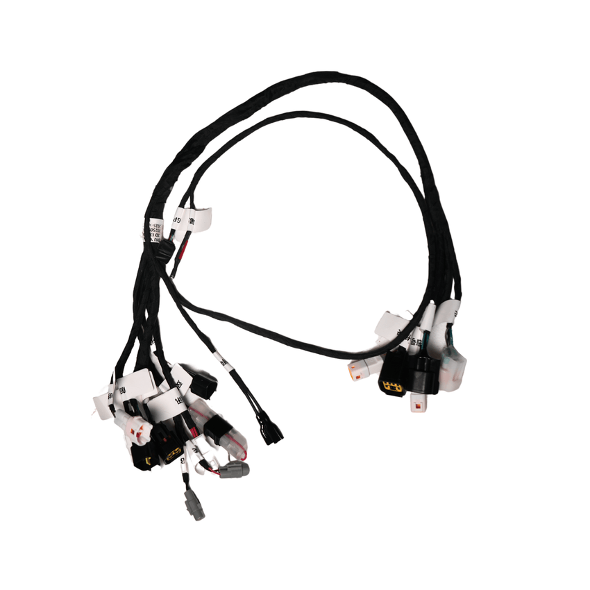 Rerode R1 8kw Main Harness, black wiring harness with multiple connectors laid out