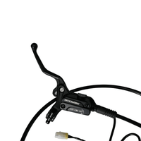 Rerode R1/R1 Plus Rear Brake Assembly, close-up of black brake lever and master cylinder
