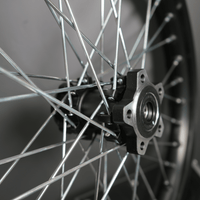 Rerode R1/R1 Plus 18" Rear Wheel, close-up of rear hub, bearing and silver spokes