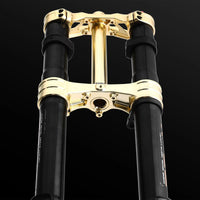 RFloXa Hawk31 Max Gold fork gold triple clamps, front view