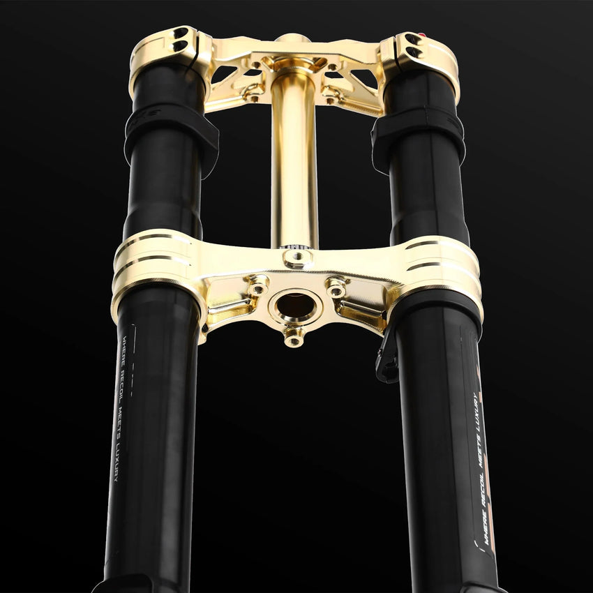 RFloXa Hawk31 Max Gold fork gold triple clamps, front view