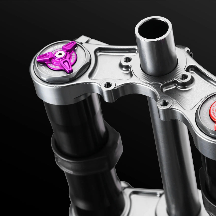 RFloXa Hawk32 purple top cap adjuster on silver crown