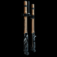 RFloXa Hawk33 Max Plus fork with gold stanchions and black lowers, front view