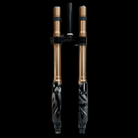 RFloXa Hawk35 Max Plus fork with gold stanchions and black lowers, front view