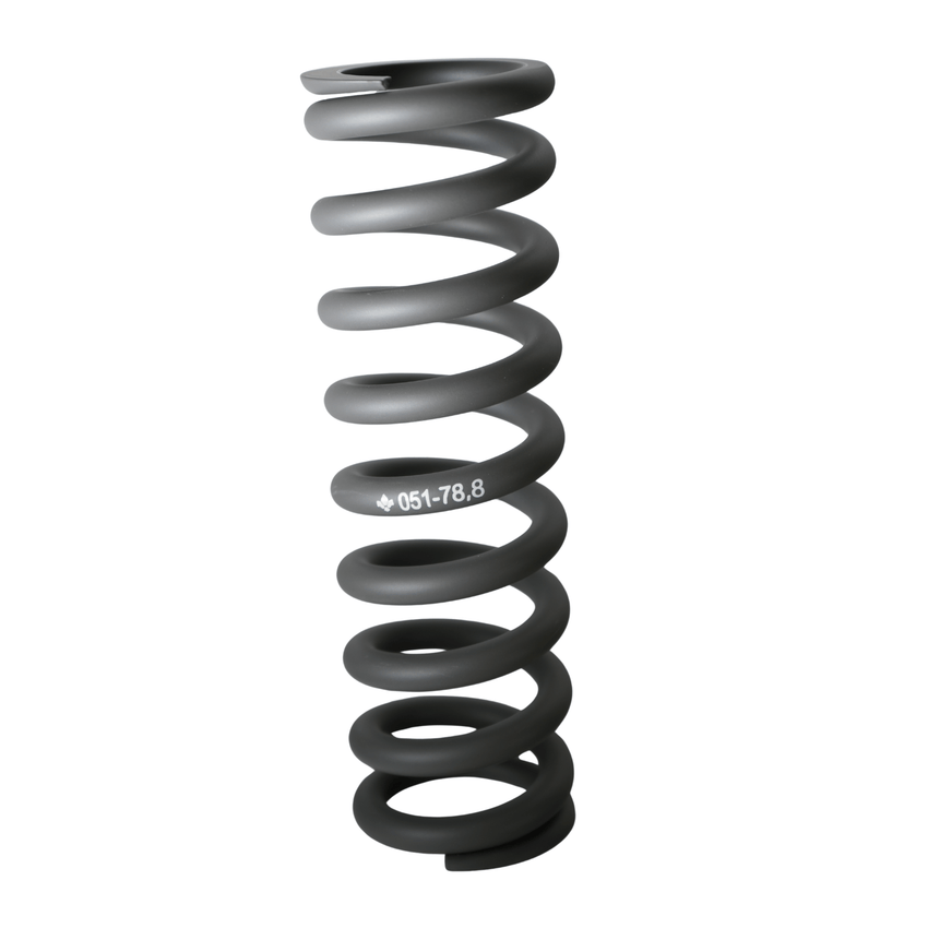 Formula TECH Rear Shock Springs (TECH Rear Shock) – view 3